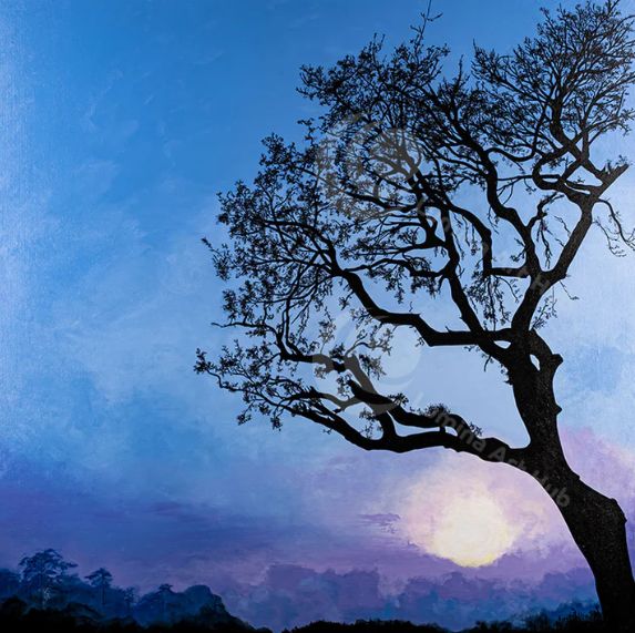 Stunning Wall Artwork to Elevate Your Home Décor