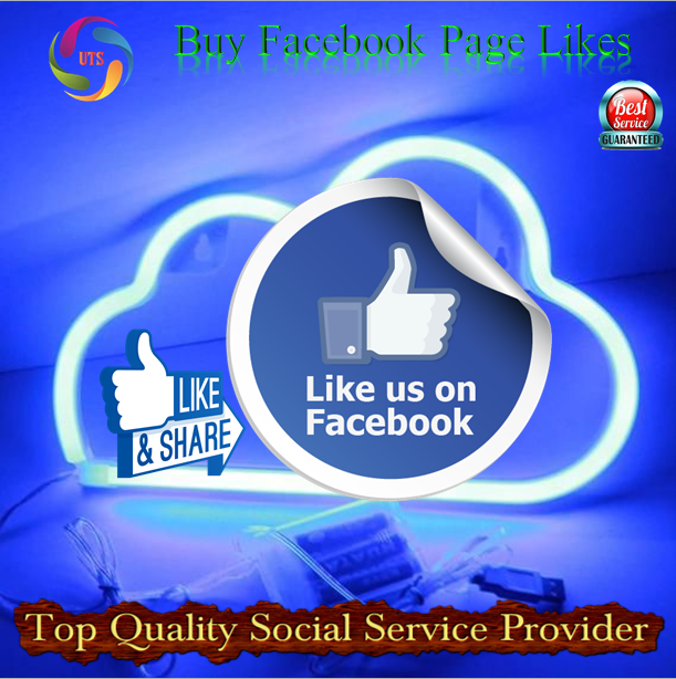 Top Quality Social Service Provider