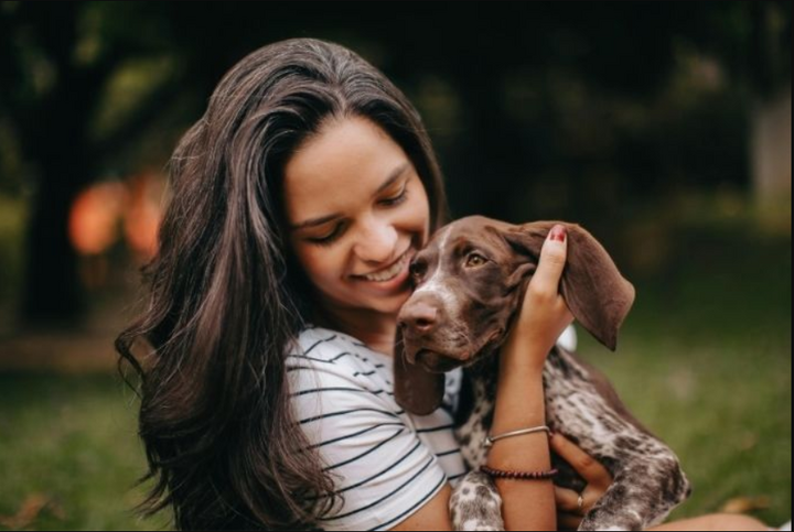  A Step-by-Step Guide to Getting Your Pet Health Certificate UK