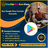 Buy Google Play Console Accounts